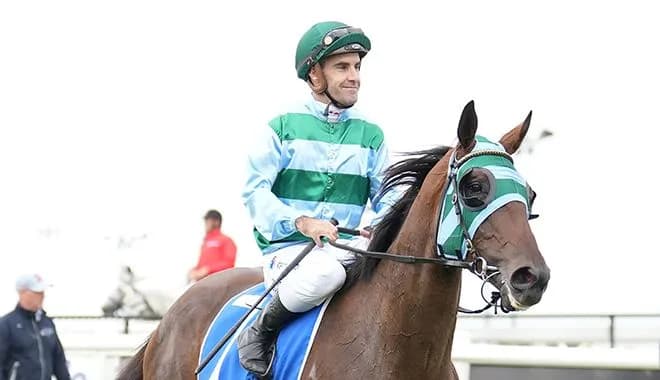 HUGE TEST FOR CAREY’S YOUNG STAYERS