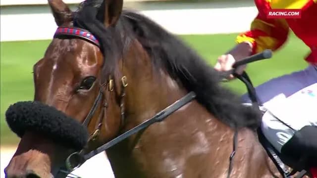 DIAMOND DECORATOR TOO GOOD IN RACE 1 AT CAULFIELD 3/2/24